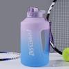 Large Capacity Frosted Sports Water Bottle with Straw - Temperature Resistant Portable Travel Cup for Men