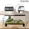 Breeding Box for Small Pets, Transparent Container Reptiles