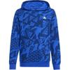 Kids Sweatshirts Hooded Moderate IS2555