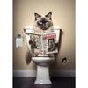 Retro Funny Animal Sitting On Toilet Reading Newspaper Posters Prints Canvas Painting Colorful Wall Pictures Bathroom Home Decor