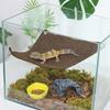 Reptiles – Terrarios de reptiles