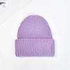 Winter Knit Beanie Hat Unisex  Custom Logo Ribbed Wool Knit Beanies Winter Luxury Warm Cuffed Beanie Hat for Women Men