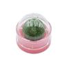 Catnip Ball & Matatabi Stick Toy – Kitten Dental Teaser & Boredom Relief Playset