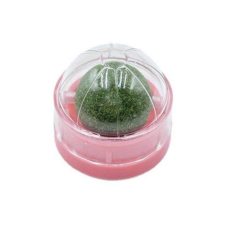 Catnip Ball & Matatabi Stick Toy – Kitten Dental Teaser & Boredom Relief Playset