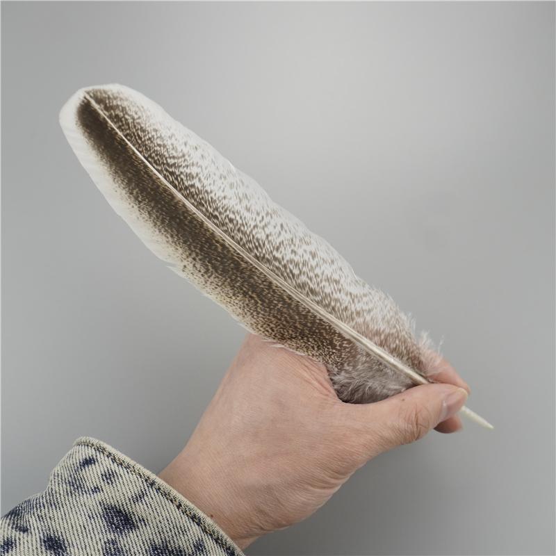 Krocaní peří 20-25 cm/8-10 palců Přírodní orlí pírko Řemeslné doplňky Sváteční dekorace DIY Stolní dekorace