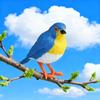 Children's Wild Bird Model Toys: Robin Family Educational Gift Ornaments