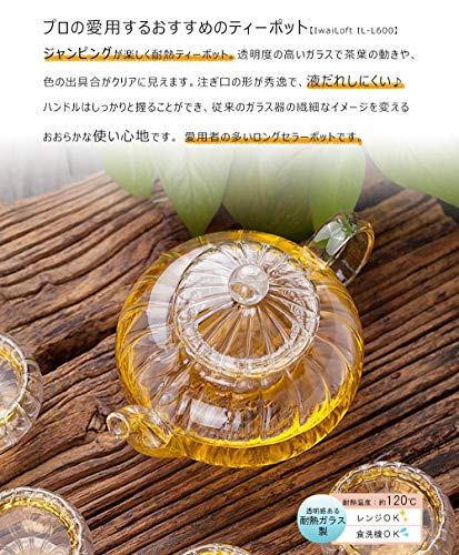 IwaiLoft Soothing Heat-Resistant Glass Teapot with Strainer, Insulated, for Two, Perfect for Black Tea, Fruit, Leaf, Flower, and Craft Teas, IL-SET192