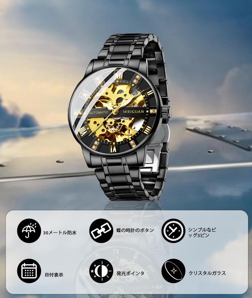 TeamSky Mechanical Automatic Mechanical Roman Stainless Large Day Gift Black Watch, Men's Watch, Steel, Waterproof, Hand-wound Watch, Numerals, Steel,