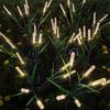Solar Powered LED Reed Lights Outdoor Garden Pathway Stake Light with 6 LED Bulbs for Yard Landscape Lawn Decoration Waterproof Design