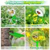 A Set Practical Insect Observation Box Interesting Bug Collector Toy  Insect Research