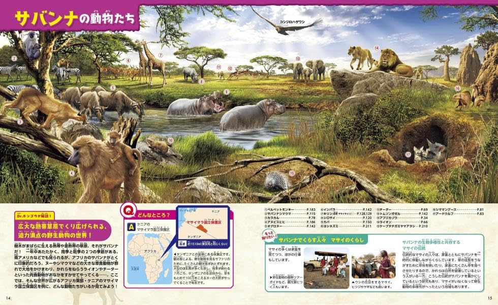 Animals, New Edition, Second Edition (Kodansha's Moving Picture Book MOVE)