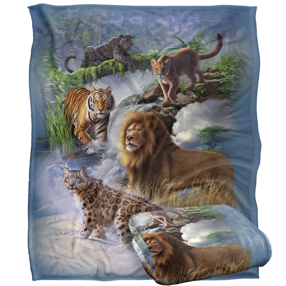 JQ Licensing Jlo Silky Cats Supersoft Blanket