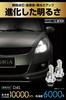Carmate BW904 GIGA HID D4S LED Head Bulb D10 Series, 6000K, Japanese Design, 3 Years Warranty, With Pong