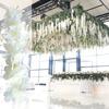 20/40Pcs 30CM Artificial Wisteria Flower Garland UV Resistant Home Wedding Party Fake Flower Garland Hanging White Faux Bloom Decoration