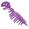 Breathable Dino Head Cover Hat With Funny Skeleton Design Ideal For Costume Fun And Outdoor Activities