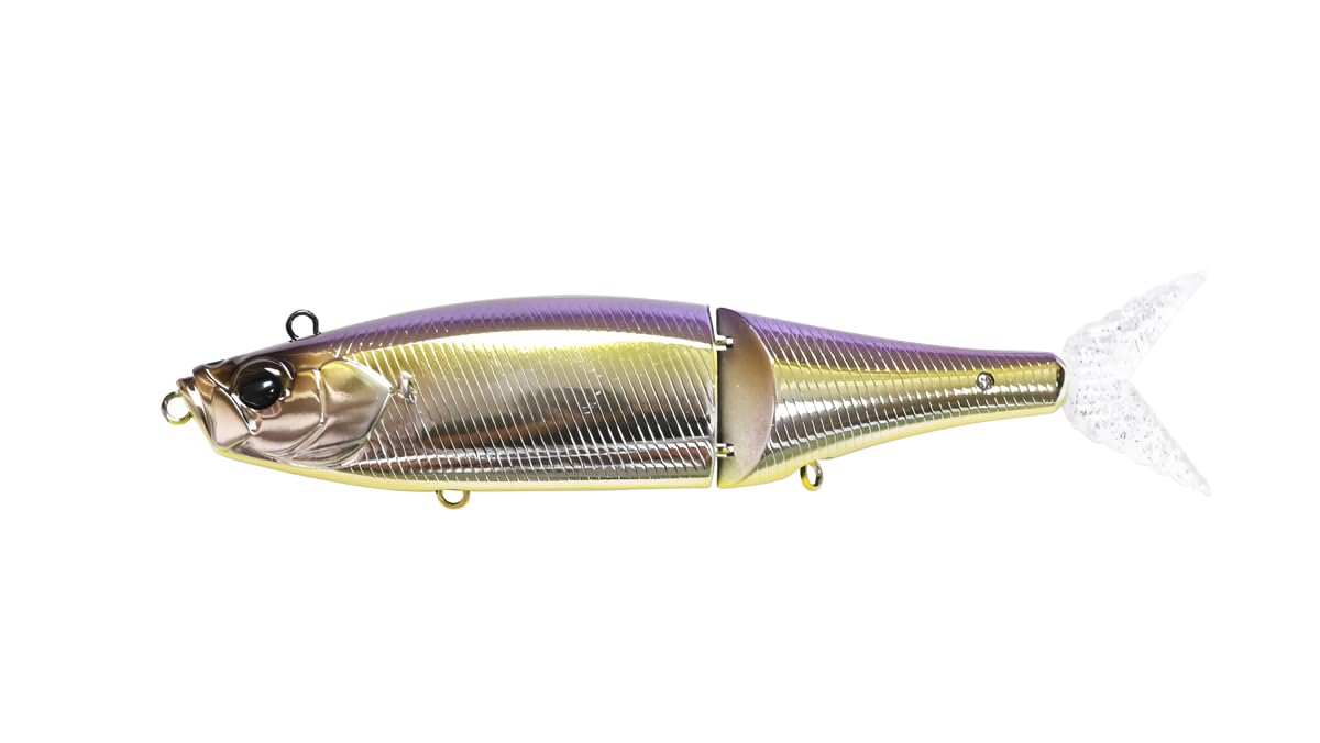 Dstyle Flex Roller 168F Flushing Shiner 168mm*48g