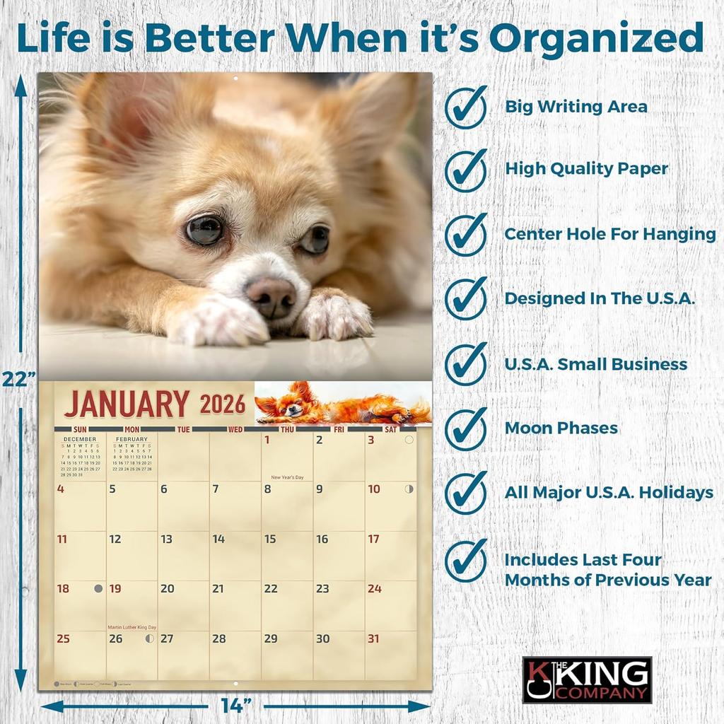 2026 Chihuahuas Dog Wall Calendar 16-Month X-Large Size 14x22, Dog Calendar by The KING Company-Monster Calendars
