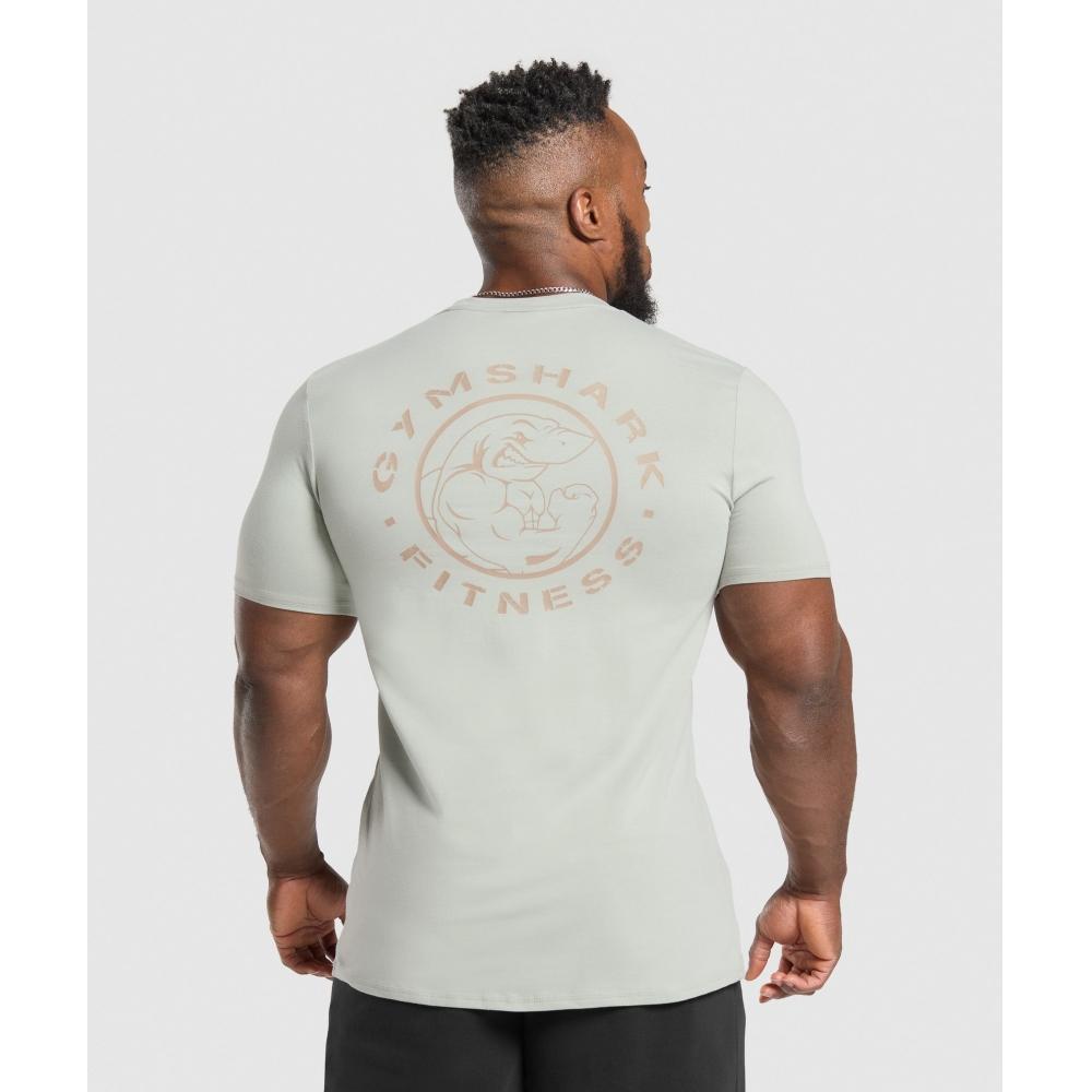 Gymshark Legacy T shirT sTone Grey A5a3b Gb7s
