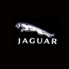 2PCS Car Door Logo Light LED Welcome Lamp JaguarZZ47