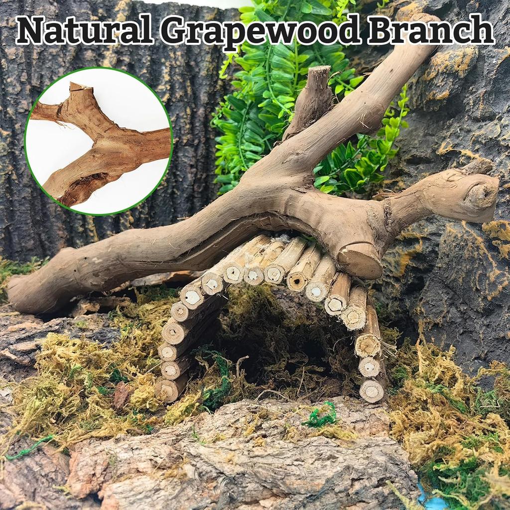 VCEPJH Snake Climbing Branch, 2Pcs Reptile Wood Natural Cork Log Tank Accessories Tree Trunk for Chameleon Bearded Dragon Gecko Snake Frog Spider