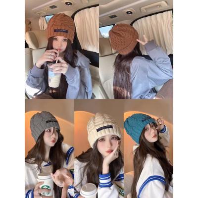 Korean Version Ins Autumn and Winter Thickened Twist Knitted Cold Hat for Women Retro Student Versatile Warm Ear Protection Wool Hat Trendy Men