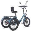 Electric Freight Bike Fafrees F20 Mate 750W Peak Motor 20" Fat Tire 48V 23.45AH Hydraulic Disc Brakes Max Load 180Kg LCD Display