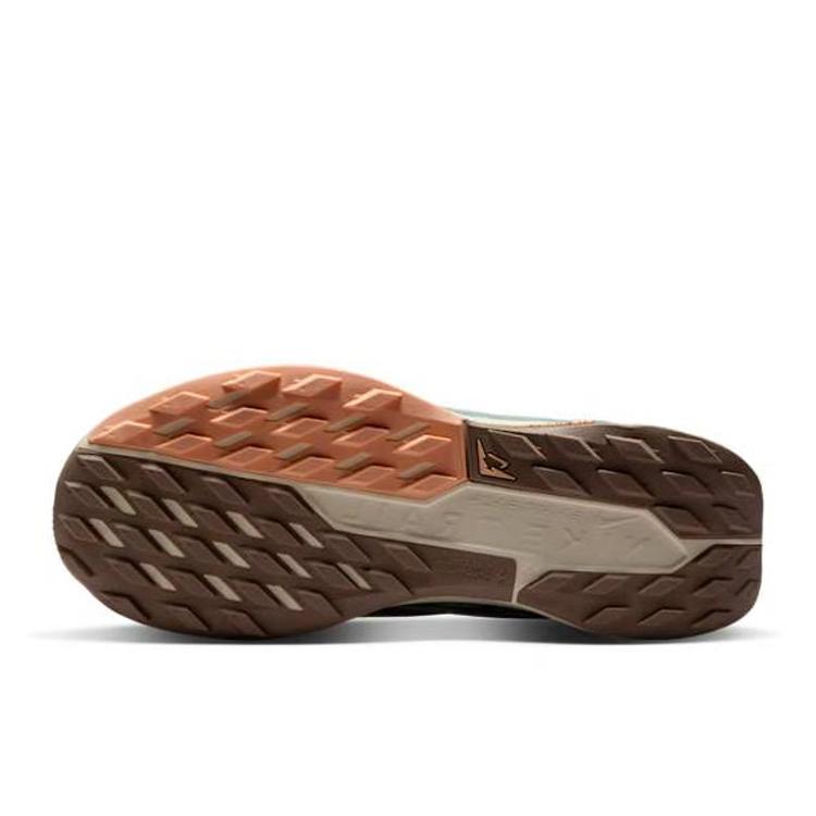 Nike  Pegasus Trail 5 Cannon Women Sneakers Teal Mink-Brown Orange-Chalk DV3865-010