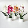 With White Pot Simulated Flower Butterfly Orchid Potted Artificial Faux Plants  Indoor Decoration