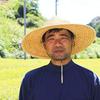 Arahataen Shizuoka Deep Steamed Tea Daichi no Uta Gabu Nomeru 100g Green Leaves Japanese Second Flush Makinohara