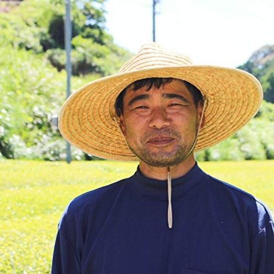 Arahataen Shizuoka Deep Steamed Tea Daichi no Uta Gabu Nomeru 100g Green Leaves Japanese Second Flush Makinohara