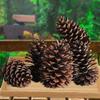 Kiefernzapfen Weihnachtsdekoration: Kiefernzapfen & Trockenblumen DIY Set