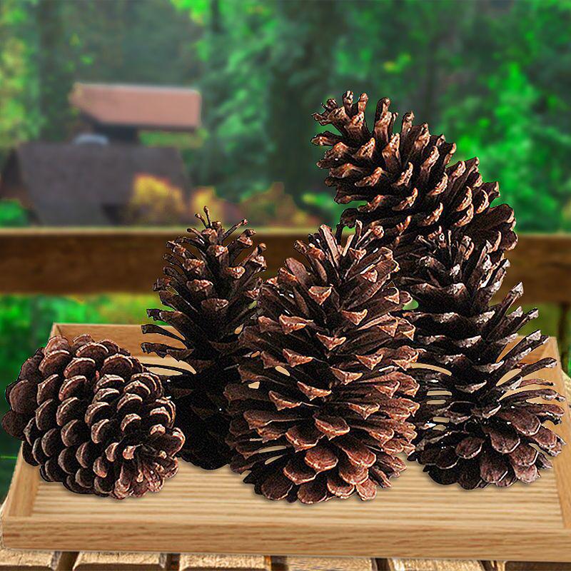 Kiefernzapfen Weihnachtsdekoration: Kiefernzapfen & Trockenblumen DIY Set