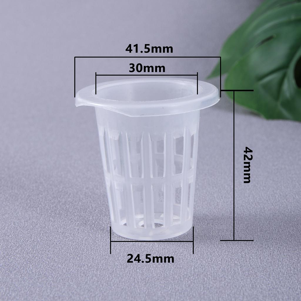 50 Stück Hydroponischer Pflanzkorb Pflanzenzuchtbehälter Garten Schlitztasse Hydroponische Gemüsepflanzung Setzlingtasse Schwamm