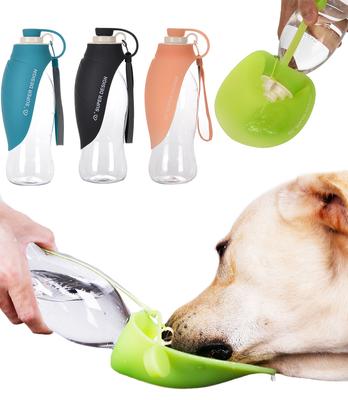 Cani – Distributori di cibo e acqua per gatti