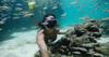 GoPro (GoPro Official) Dive Housing for HERO8 Black | AJDIV-001 [Domestic Genuine Product]
