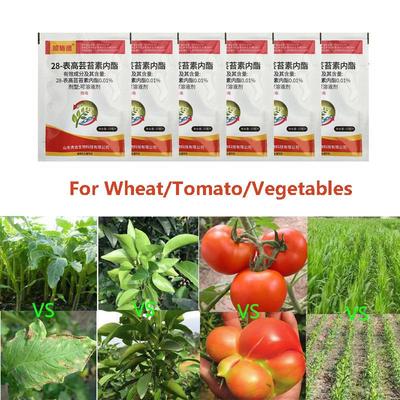 Regulátory růstu rostlin Zvýšení výnosu zeleniny/rajčat/pšenice Regulátory růstu Podporují fotosyntézu rostlin