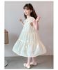 Girls' Dress Summer Dress New Summer Chiffon Elegant Princess Dress Summer Thin Girl Children's Dress