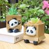 Panda in Box Theme Mini Flower Pot, Perfect Indoor Planters for Mini Succulents & Cacti, Cute Desk Pots for Home Decor