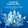Children'S Educational Science Experiment Handmade Diy Crystal Seed Christmas Tree Growth Chemical Planting Crystal Toy