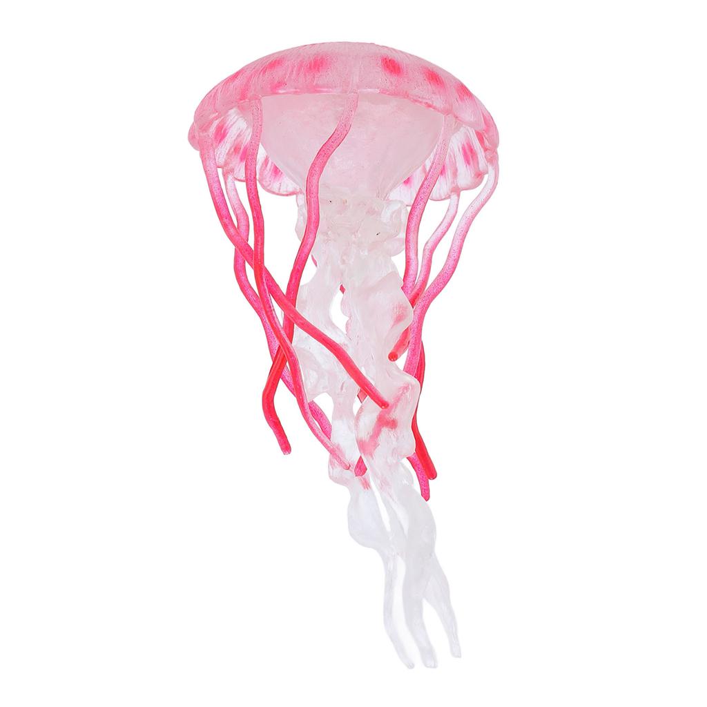 4 Stück Quallen Wachstumszyklus Figur Pädagogisches Spiel Simuliertes Quallenmodell Spielzeug Realistisch