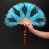 Handheld Peacock Feather Fan With Tassel Feather Dance Fan Folding Hand Fan  Home Decoration