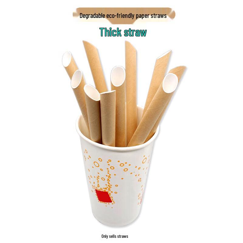 Babike Eco-Friendly Disposable Straws
