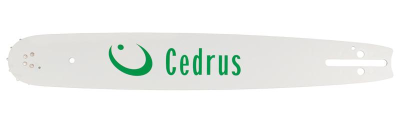 

Guide 16 .325 1.3Mm K095 Cedrus Poh16-50Wh