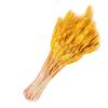 Home Decor Natural Dried Flowers Dried Wheat Bouquet Wheat Ear