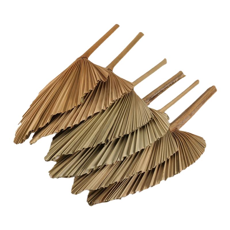 ABBY-6PCS Dried Palm Leaves Natural Dried Palm Fans,Large Palm Spear For Boho Wedding Decor,Tropical Palm Leaves Decoration Dura