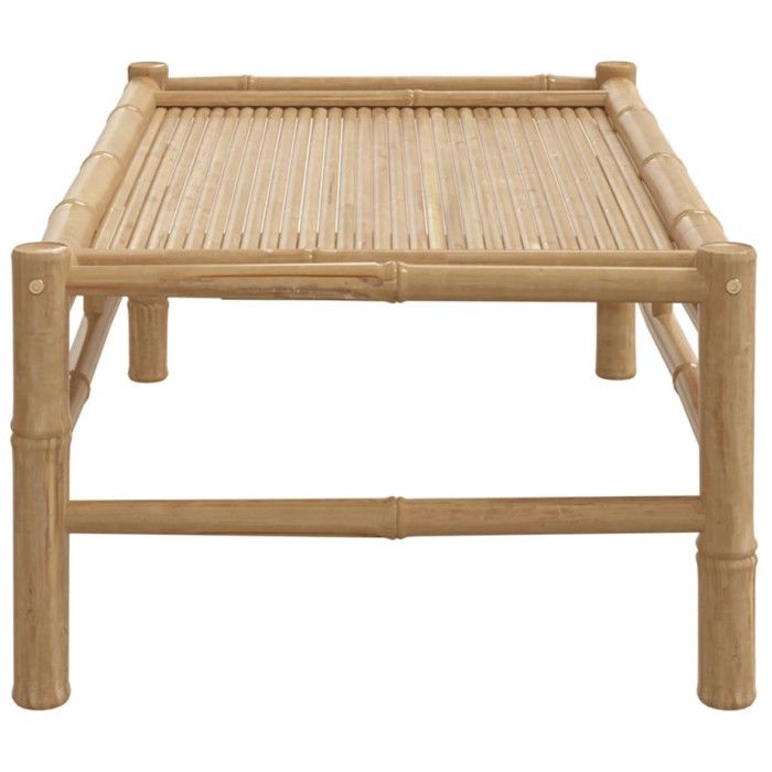 VidaXL Table basse de jardin 100x55x33 cm bambou 363456