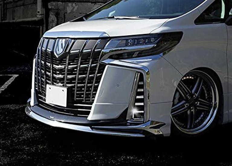 Takelablaze Fog Lamp Garnish for Alphard 30 Series 10 Pieces (Late Model)