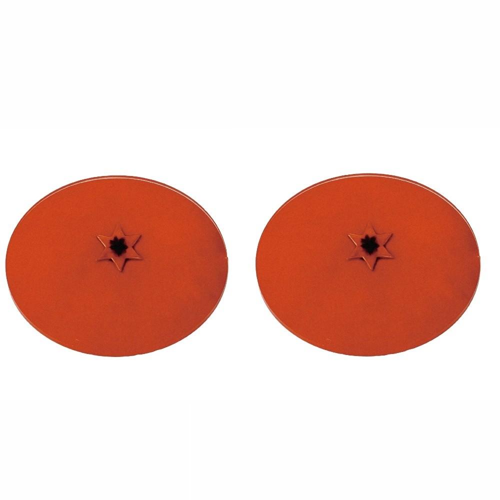

2PCS Acrylic Fruit Coasters Cute Anti Scald Coaster Coffee Mug Coasters Pot Holder Dining Table Style D