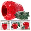 Creative Strawberry Tea Storage Strawberry Shaped Coffee Container Tea Jar  Teaware Accessories