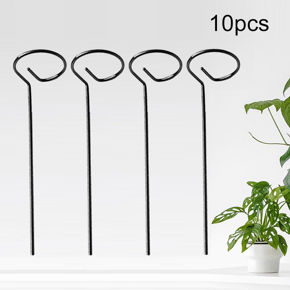 Metal Plant Supports Stake Garden Tool Set for Peonies Hydrangea